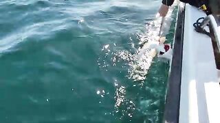 Ловля трески в Баренцевом море из Мурманска: майский выход с капитаном и подъем рыбы с глубины