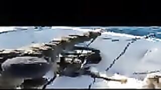 Ловля трески в Баренцевом море из Мурманска: майский выход с капитаном и подъем рыбы с глубины