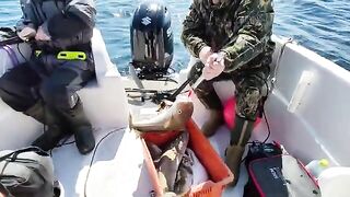 Ловля трески в Баренцевом море из Мурманска: майский выход с капитаном и подъем рыбы с глубины