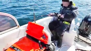 Ловля трески в Баренцевом море из Мурманска: майский выход с капитаном и подъем рыбы с глубины