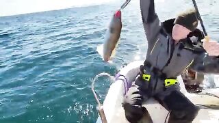 Ловля трески в Баренцевом море из Мурманска: майский выход с капитаном и подъем рыбы с глубины