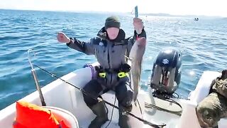 Ловля трески в Баренцевом море из Мурманска: майский выход с капитаном и подъем рыбы с глубины