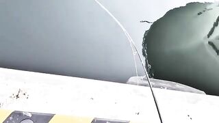 Рыбалка в заливе Функа на Хоккайдо: вода 15 градусов и короткий вечерний выход рыбы