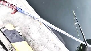 Рыбалка в заливе Функа на Хоккайдо: вода 15 градусов и короткий вечерний выход рыбы