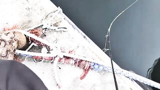 Рыбалка в заливе Функа на Хоккайдо: вода 15 градусов и короткий вечерний выход рыбы