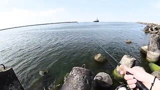 Рыбалка с берега в Балтийске: разговор о камбале и салаке, донные снасти и непростой первый выход