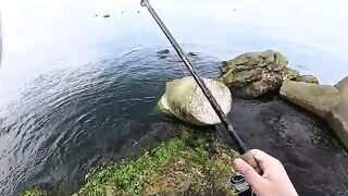 Рыбалка с берега в Балтийске: разговор о камбале и салаке, донные снасти и непростой первый выход