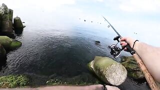 Рыбалка с берега в Балтийске: разговор о камбале и салаке, донные снасти и непростой первый выход