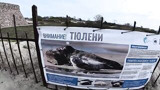 Рыбалка с берега в Балтийске: разговор о камбале и салаке, донные снасти и непростой первый выход