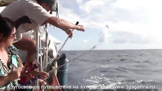 Тунец у борта яхты «Гагарин» возле Ангильи и суматоха с подъемом рыбы из Карибского моря
