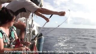 Тунец у борта яхты «Гагарин» возле Ангильи и суматоха с подъемом рыбы из Карибского моря