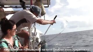 Тунец у борта яхты «Гагарин» возле Ангильи и суматоха с подъемом рыбы из Карибского моря