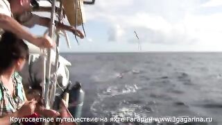 Тунец у борта яхты «Гагарин» возле Ангильи и суматоха с подъемом рыбы из Карибского моря