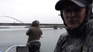 Чавыча под дождем и форель на реке в Чили: поклевки в пасмурную погоду и отпуск пойманной рыбы