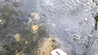 С ручейником за рыбой на горную реку Приморья и чаепитие после переходов по каменистому берегу