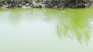 Нахлыст на беби-тарпона в мангровом канале Кайо-Гильермо на Кубе и утро без поклевок