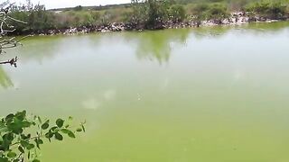 Нахлыст на беби-тарпона в мангровом канале Кайо-Гильермо на Кубе и утро без поклевок