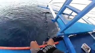 Глубоководный джиггинг на Палаване с Fishing Buddy: знакомство с командой и крупная морская рыба