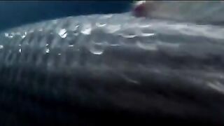 За нильским окунем с нахлыстом в Камеруне по дикой реке Фаро вместе с проводниками экспедиции