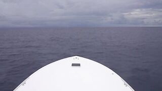 Дальний выход к FAD из Кепоса: грозы на переходе и напряженная рыбалка на крупную морскую рыбу