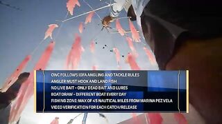 Турнир Offshore World Championship в Кепосе: команды из разных стран и ловля с отпусканием рыбы