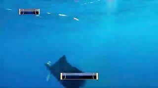 Турнир Offshore World Championship в Кепосе: команды из разных стран и ловля с отпусканием рыбы