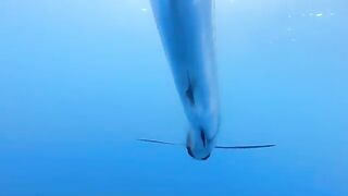 Турнир Offshore World Championship в Кепосе: команды из разных стран и ловля с отпусканием рыбы