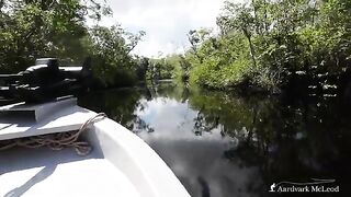 Нахлыст на тарпона в Tapam Lodge в Никарагуа: речные лагуны и подготовка рыболовной поездки