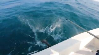 Лодочный джиггинг из Аль-Вакры в Катаре после ранних сборов и борьба с рыбой у борта