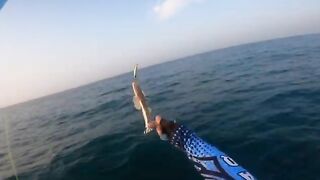 Лодочный джиггинг из Аль-Вакры в Катаре после ранних сборов и борьба с рыбой у борта