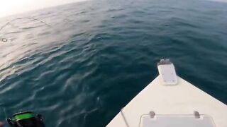 Лодочный джиггинг из Аль-Вакры в Катаре после ранних сборов и борьба с рыбой у борта