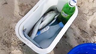 Кефаль и полурыл на берегу Хаммамета с забросами на 60-70 метров и небольшими кусочками наживки