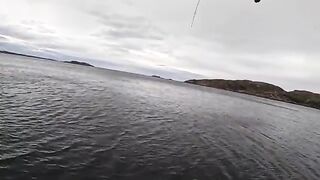 Крупный поллак у западного берега Шотландии на маленькую приманку после поклевки с первого заброса