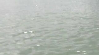 Поклевка крупного луфаря в Акьяке на забросе и вываживание в забродку под подсказки товарищей