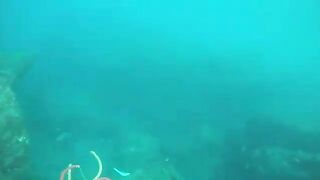 Подводная охота у Гили-Тепеконга возле Чандидасы на Бали до ухудшения прозрачности воды к полудню