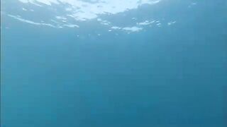 Подводная охота у Гили-Тепеконга возле Чандидасы на Бали до ухудшения прозрачности воды к полудню