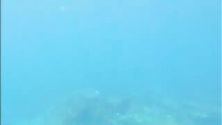 Подводная охота у Гили-Тепеконга возле Чандидасы на Бали до ухудшения прозрачности воды к полудню