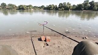 Карась и подлещик на Кубани с двумя флет-фидерами после приглашения Семена и подписчика Романа