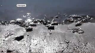 Минтай с икрой у мыса Астафьева в Находке и разговор с Валентиной на заполненном рыбаками пирсе