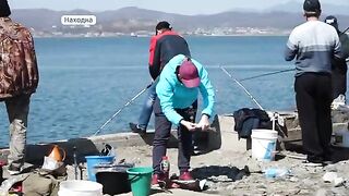 Минтай с икрой у мыса Астафьева в Находке и разговор с Валентиной на заполненном рыбаками пирсе