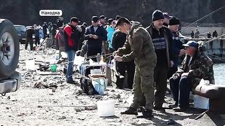 Минтай с икрой у мыса Астафьева в Находке и разговор с Валентиной на заполненном рыбаками пирсе