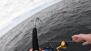 Красный снеппер на искусственных рифах у Дестина во Флориде и копчение рыбы после морского выхода