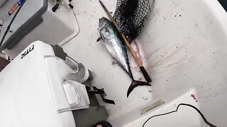Красный снеппер на искусственных рифах у Дестина во Флориде и копчение рыбы после морского выхода