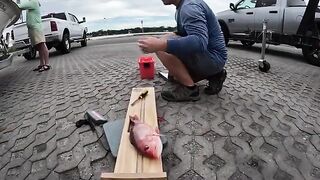 Красный снеппер на искусственных рифах у Дестина во Флориде и копчение рыбы после морского выхода