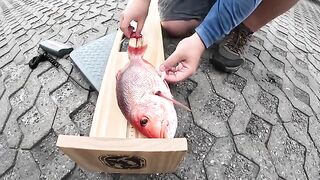 Красный снеппер на искусственных рифах у Дестина во Флориде и копчение рыбы после морского выхода