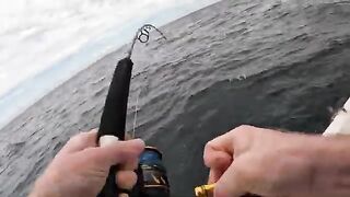 Красный снеппер на искусственных рифах у Дестина во Флориде и копчение рыбы после морского выхода