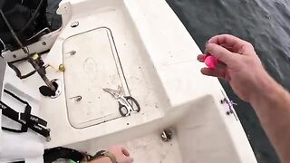 Красный снеппер на искусственных рифах у Дестина во Флориде и копчение рыбы после морского выхода