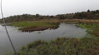 Радужная форель в высокогорных лагунах Эквадора после пешего подхода через холодное парамо