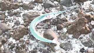 Al Ruwais, Qatar — fishing time: рабочие точки у мола