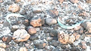 Al Ruwais, Qatar — fishing time: рабочие точки у мола